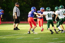 Enlarge photo 185