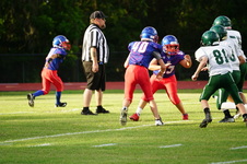 Enlarge photo 186