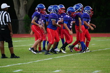 Enlarge photo 197