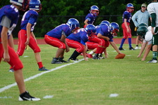 Enlarge photo 201