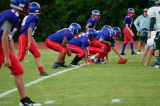 Enlarge photo 202
