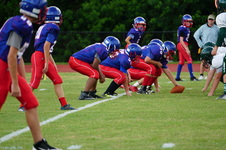 Enlarge photo 203