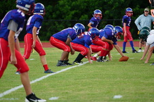 Enlarge photo 204