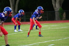 Enlarge photo 221