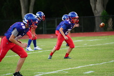 Enlarge photo 222