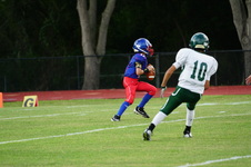 Enlarge photo 224
