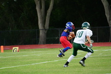 Enlarge photo 225