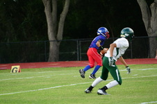 Enlarge photo 226