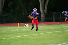 Enlarge photo 229