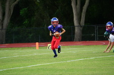 Enlarge photo 230