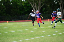 Enlarge photo 235