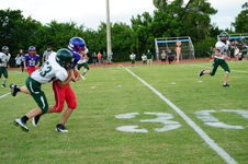 Enlarge photo 238