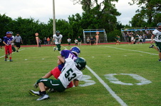 Enlarge photo 240