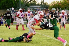 Enlarge photo 18