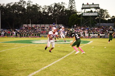 Enlarge photo 121