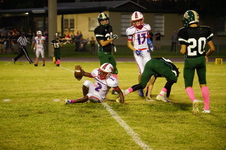 Enlarge photo 188