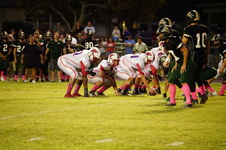 Enlarge photo 205