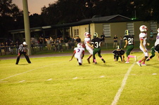 Enlarge photo 229