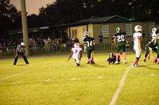 Enlarge photo 230