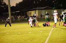 Enlarge photo 231