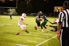 Enlarge photo 249