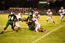 Enlarge photo 255