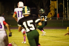 Enlarge photo 315