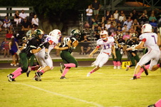 Enlarge photo 495