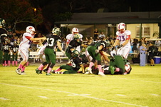 Enlarge photo 517
