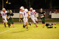 Enlarge photo 590