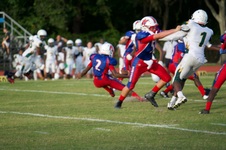 Enlarge photo 72