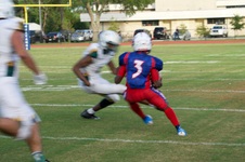 Enlarge photo 88