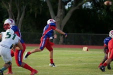 Enlarge photo 105