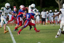 Enlarge photo 134