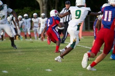 Enlarge photo 137