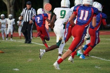 Enlarge photo 136