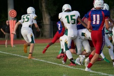 Enlarge photo 141