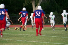 Enlarge photo 145
