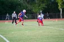 Enlarge photo 157