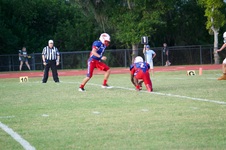 Enlarge photo 158