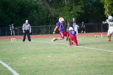 Enlarge photo 159
