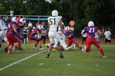 Enlarge photo 210