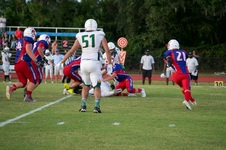 Enlarge photo 212