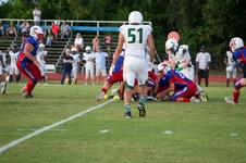 Enlarge photo 215