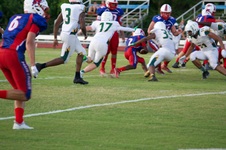 Enlarge photo 234