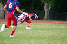 Enlarge photo 245