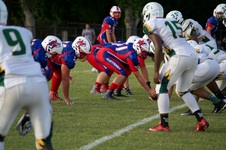 Enlarge photo 270