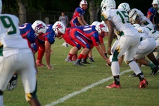 Enlarge photo 273