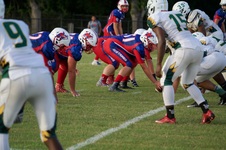 Enlarge photo 272