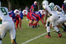 Enlarge photo 275